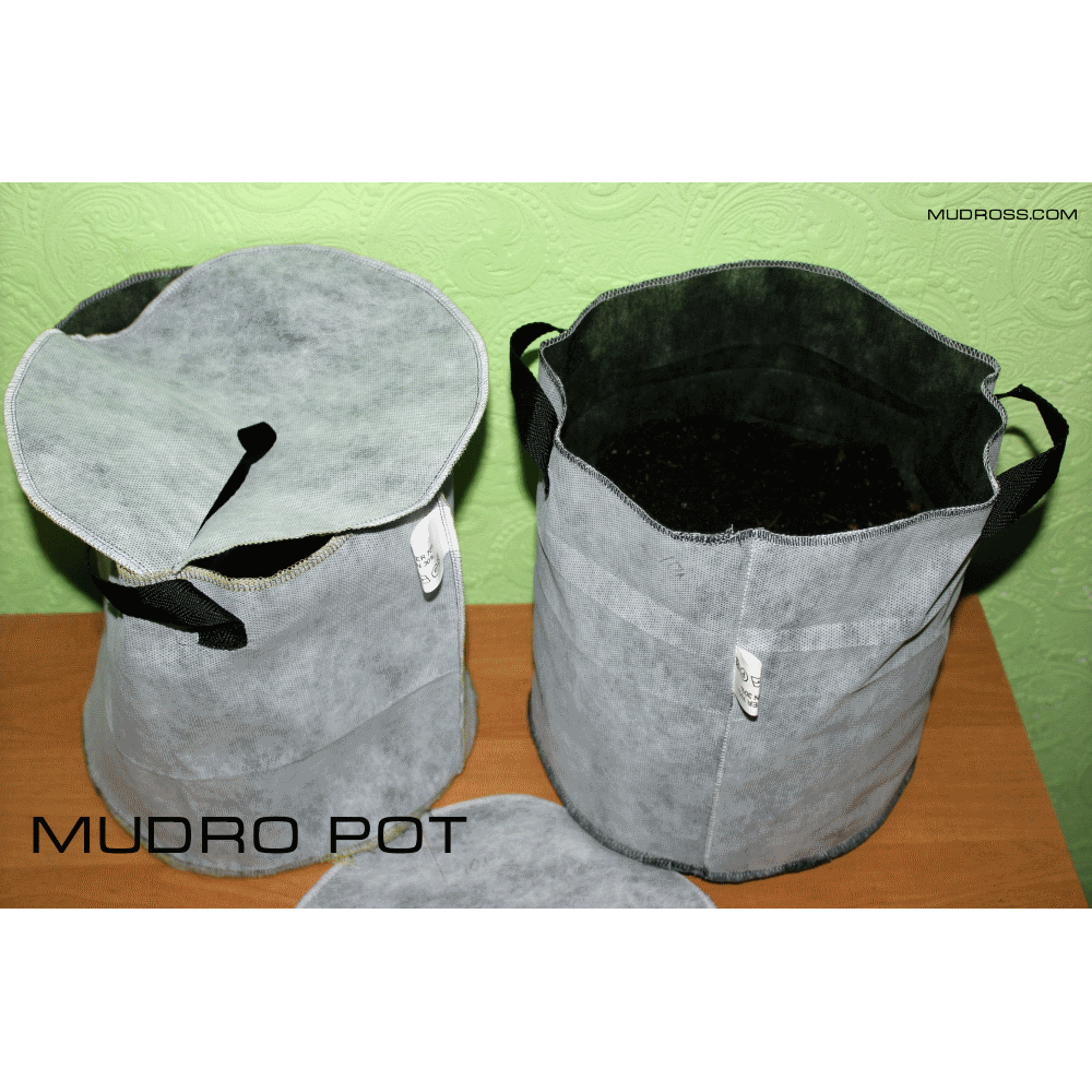 Mudro Pot maxi